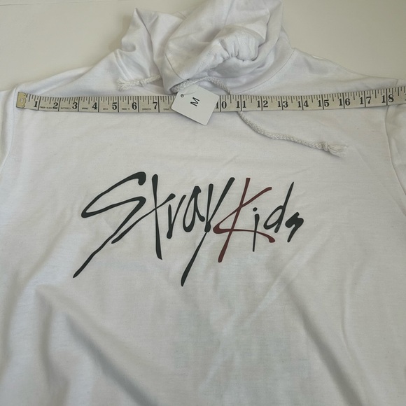 NWOT Stray Kids hoodie sweater size M - Picture 3 of 6